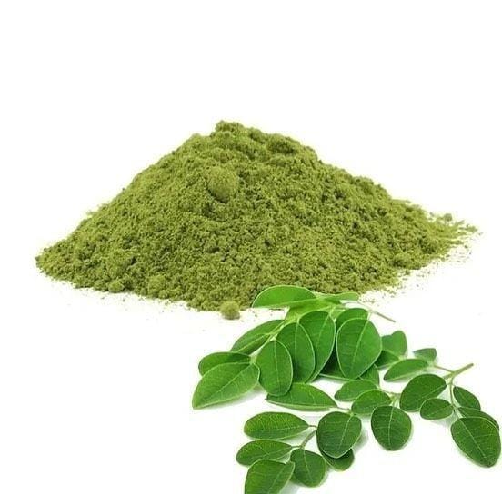 Moringa Oleifera
